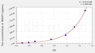 Mouse MASP1(Mannose Associated Serine Protease 1) ELISA Kit