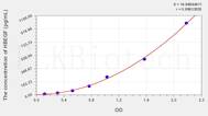 Rat HBEGF(Heparin Binding Epidermal Growth Factor Like Growth Factor) ELISA Kit