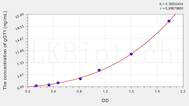 Mouse gGT1(γ-Glutamyltransferase 1) ELISA Kit