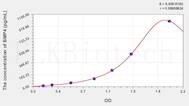 Rabbit BMP4(Bone Morphogenetic Protein 4) ELISA Kit