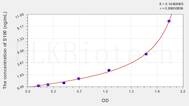 Rat S100(S100 Calcium Binding Protein) ELISA Kit