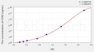 Human CCR2(Chemokine C-C-Motif Receptor 2) ELISA Kit