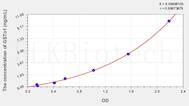 Human GSTo1(Glutathione S Transferase ω 1) ELISA Kit