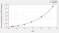 Human CAP3(Cytoplasmic Antiproteinase 3) ELISA Kit