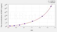 Mouse SDC1(Syndecan 1) ELISA Kit