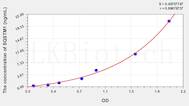 Human SQSTM1(Sequestosome 1) ELISA Kit