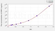 Human VRK1(Vaccinia Related Kinase 1) ELISA Kit