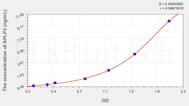 Human APLP2(Amyloid β Precursor Like Protein 2) ELISA Kit