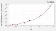 Human FECH(Ferrochelatase) ELISA Kit