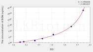 Human BGN(Biglycan) ELISA Kit