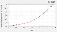 Human DCK(Deoxycytidine Kinase) ELISA Kit