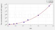 Human JUP(Junction Plakoglobin) ELISA Kit