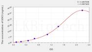 Human SDC3(Syndecan 3) ELISA Kit