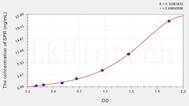 Human SPR(Sepiapterin Reductase) ELISA Kit