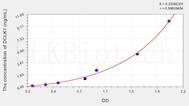 Human DCLK1(Doublecortin Like Kinase 1) ELISA Kit