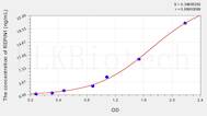 Human REPIN1(Replication Initiator 1) ELISA Kit