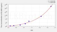 Human ELA2B(Elastase 2B) ELISA Kit