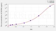 Human CXCR6(Chemokine C-X-C-Motif Receptor 6) ELISA Kit