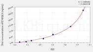 Mouse CYP2E1(Cytochrome P450 2E1) ELISA Kit