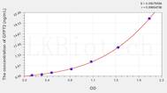 Human GFPT2(Glutamine Fructose-6-Phosphate Transaminase 2) ELISA Kit