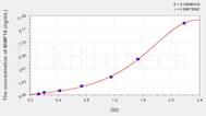 Human MMP16(Matrix Metalloproteinase 16) ELISA Kit