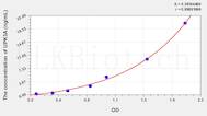 Human UPK3A(Uroplakin 3A) ELISA Kit