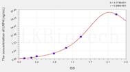 Human LRP4(Low Density Lipoprotein Receptor Related Protein 4) ELISA Kit