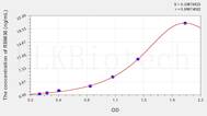 Human RBM38(RNA Binding Motif Protein 38) ELISA Kit