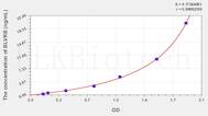 Human BLVRB(Biliverdin Reductase B) ELISA Kit