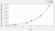 Human BLVRA(Biliverdin Reductase A) ELISA Kit