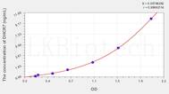 Human DHCR7(7-Dehydrocholesterol Reductase) ELISA Kit