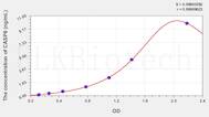 Human CASP6(Caspase 6) ELISA Kit