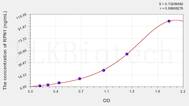 Human RPN1(Ribophorin I) ELISA Kit