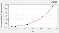 Human SMTN(Smoothelin) ELISA Kit