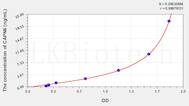 Human CAPN6(Calpain 6) ELISA Kit