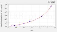 Human RFK(Riboflavin Kinase) ELISA Kit