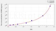 Human BIN1(Bridging Integrator 1) ELISA Kit