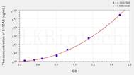 Rat S100A6(S100 Calcium Binding Protein A6) ELISA Kit