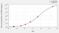 Human PAK4(p21 Protein Activated Kinase 4) ELISA Kit