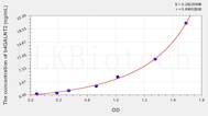 Human b4GALNT2(β-1,4-N-Acetyl Galactosaminyl Transferase 2) ELISA Kit