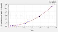 Human POT1(Protection Of Telomeres 1 Homolog) ELISA Kit