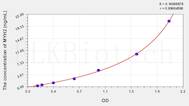 Human MYH2(Myosin Heavy Chain 2, Skeletal Muscle, Adult) ELISA Kit