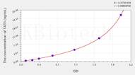 Human TAT1(Testis Anion Transporter 1) ELISA Kit