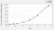 Human RARg(Retinoic Acid Receptor γ) ELISA Kit