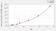 Human NAAA(N-Acylethanolamine Acid Amidase) ELISA Kit