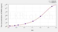 Human SNX9(Sorting Nexin 9) ELISA Kit