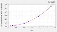 Human SAT1(Spermidine/Spermine N1-Acetyltransferase 1) ELISA Kit