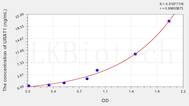 Human URAT1(Urate Transporter 1) ELISA Kit