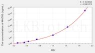 Human MATR3(Matrin 3) ELISA Kit