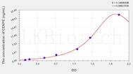 Human CENPE(Centromere Protein E) ELISA Kit